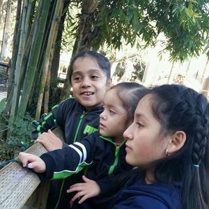 Meet your Posher, Luis